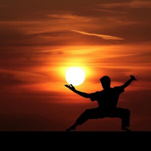 fu, kung, kungfu, master, silhouette, martial, china, art, mental, japanese, sun, sunset, warrior, action, active, nature, aerobic, body, chi, cloudy, combat, demonstration, exercise, fight, fighter, sport